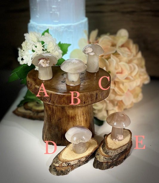 flower agate mushrooms crystal healing a e1