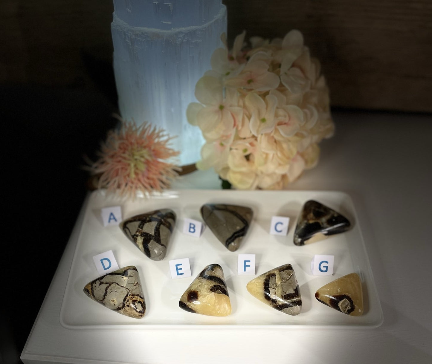 septarian triangle palm stone polished crystal healing 3socialmedia 3